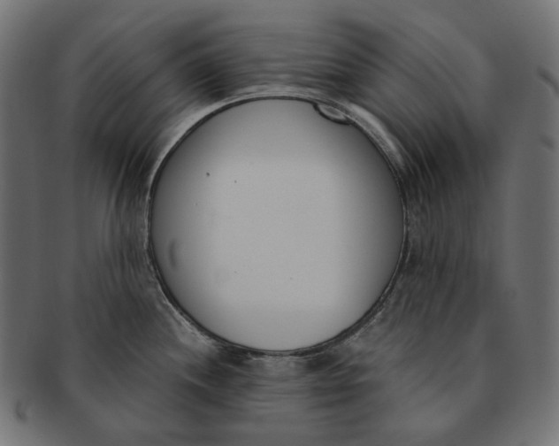 X0000091521244200709071009