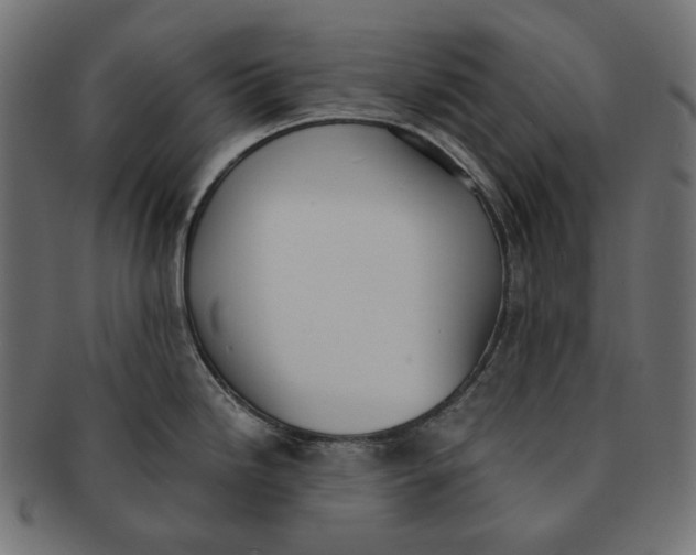 X0000091521246200709071009