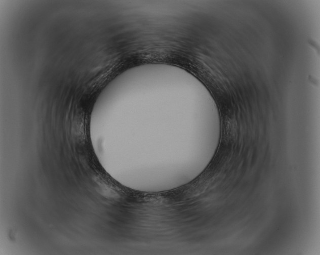 X0000091521250200709071009