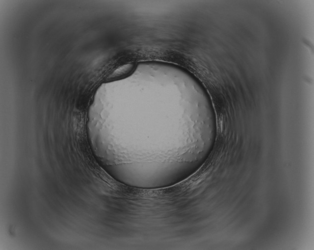 X0000091521251200709071009