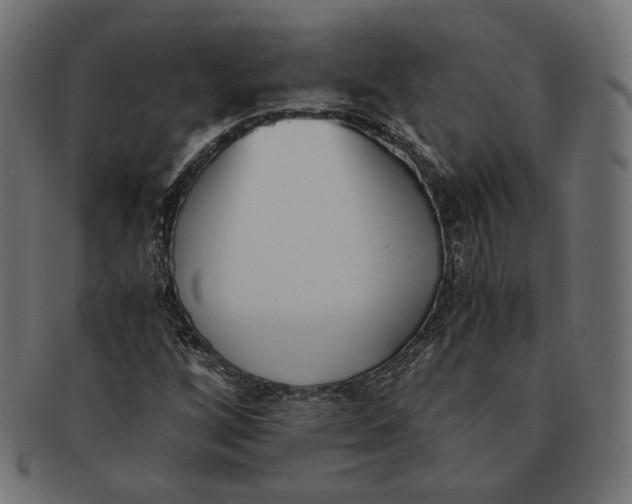 X0000091521256200709071009