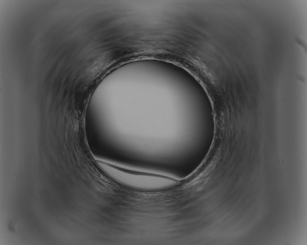 X0000091521257200709071009