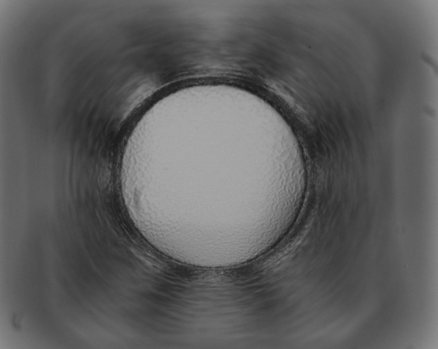 X0000091521259200709071009