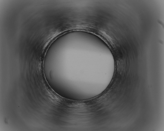 X0000091521260200709071009