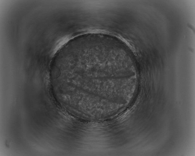 X0000091521263200709071009