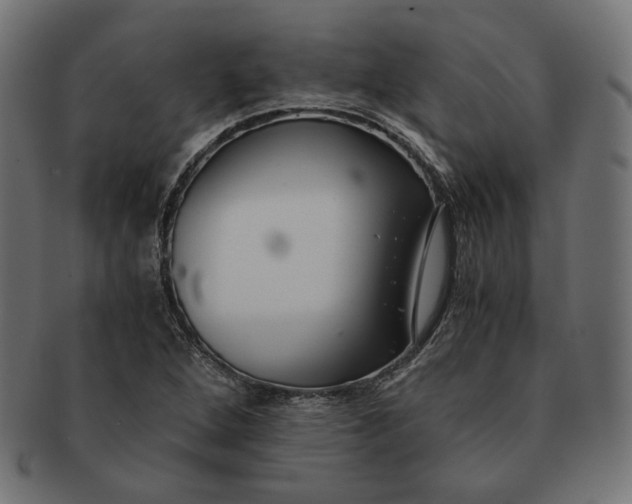 X0000091521264200709071009