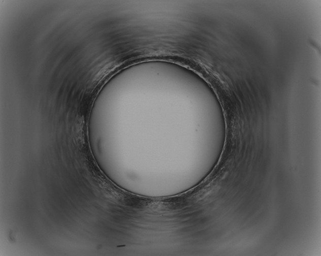 X0000091521265200709071009