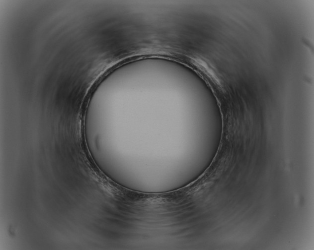 X0000091521268200709071008