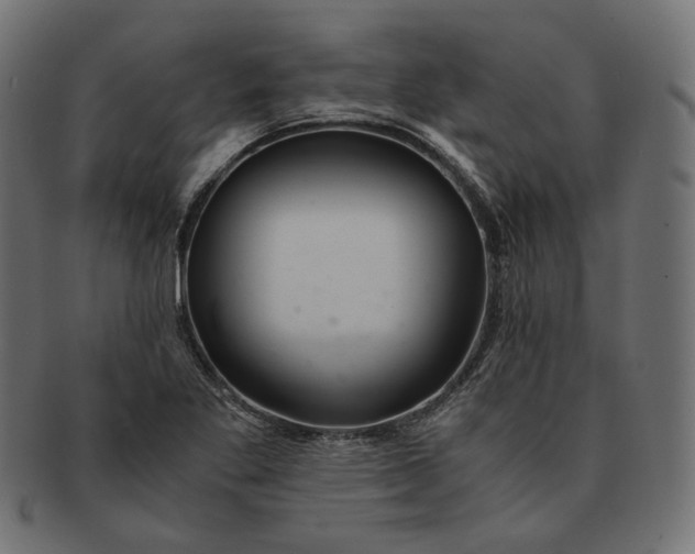 X0000091521269200709071008