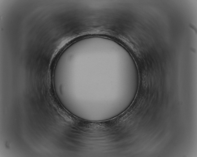 X0000091521270200709071008