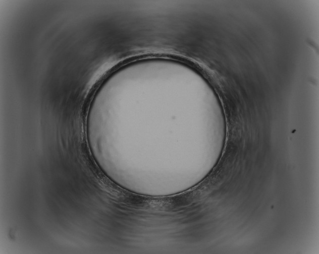 X0000091521271200709071008