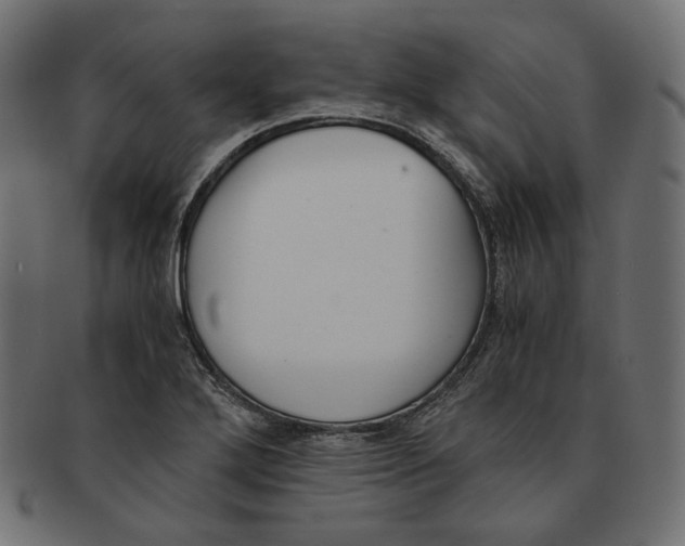 X0000091521272200709071008