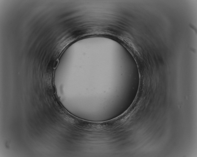 X0000091521273200709071008