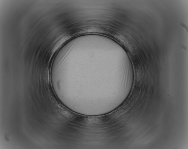 X0000091521274200709071008