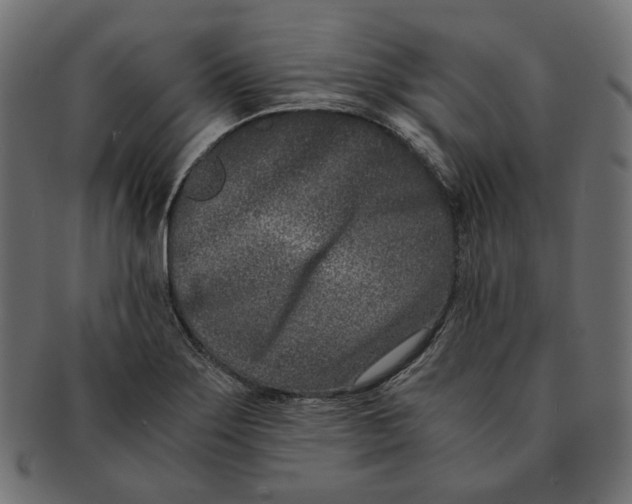 X0000091521275200709071008