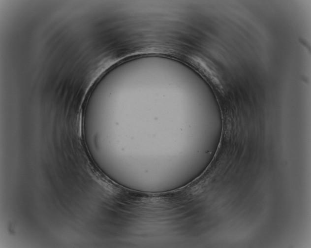 X0000091521276200709071008