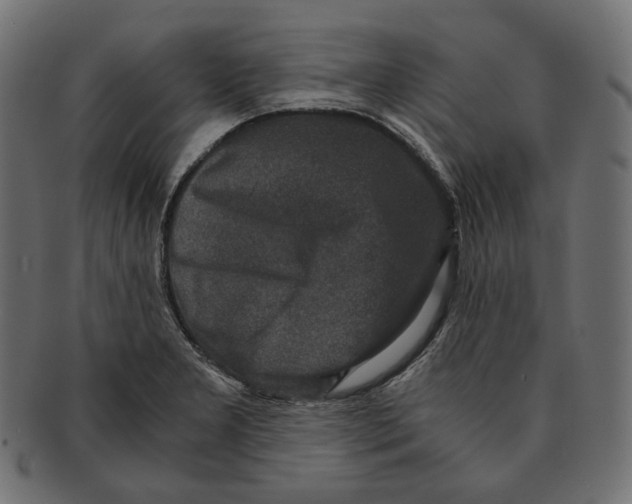 X0000091521277200709071008