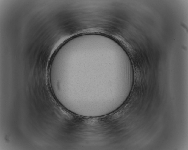 X0000091521278200709071008