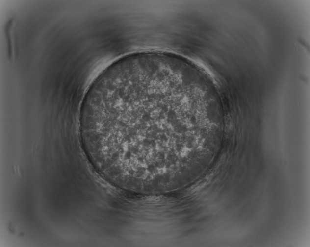 X0000091521279200709071008