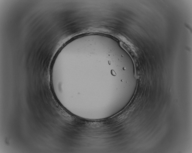 X0000091521280200709071008