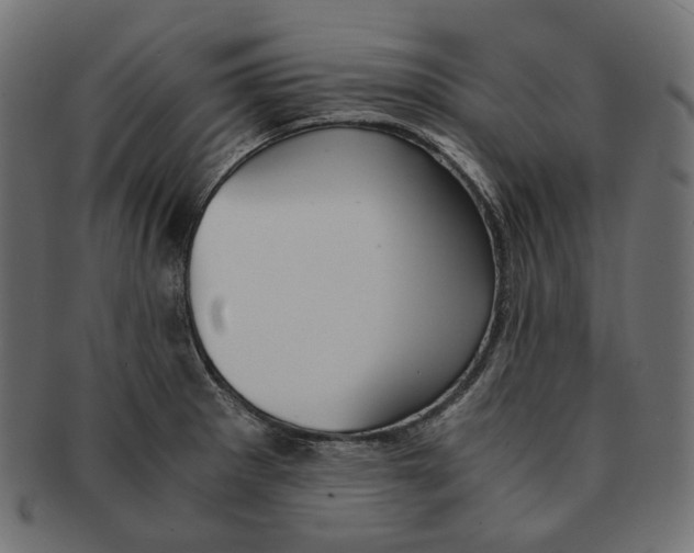 X0000091521281200709071008