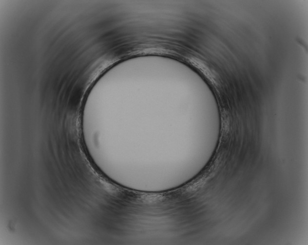 X0000091521282200709071008