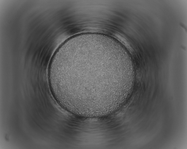 X0000091521283200709071008