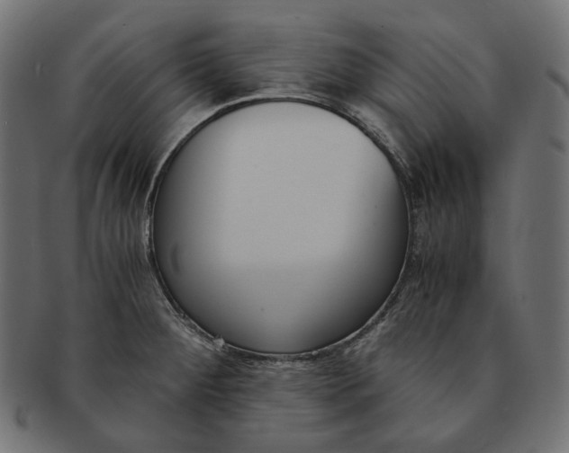 X0000091521284200709071008