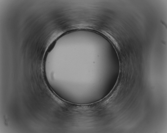 X0000091521285200709071008