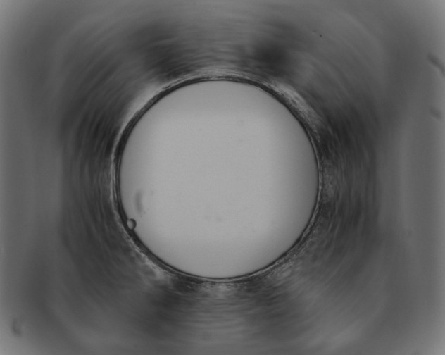 X0000091521286200709071008