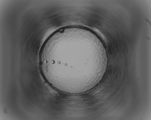 X0000091521287200709071008