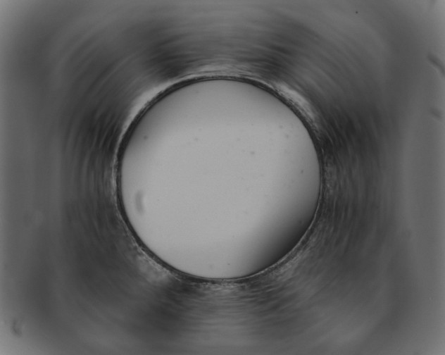 X0000091521288200709071008