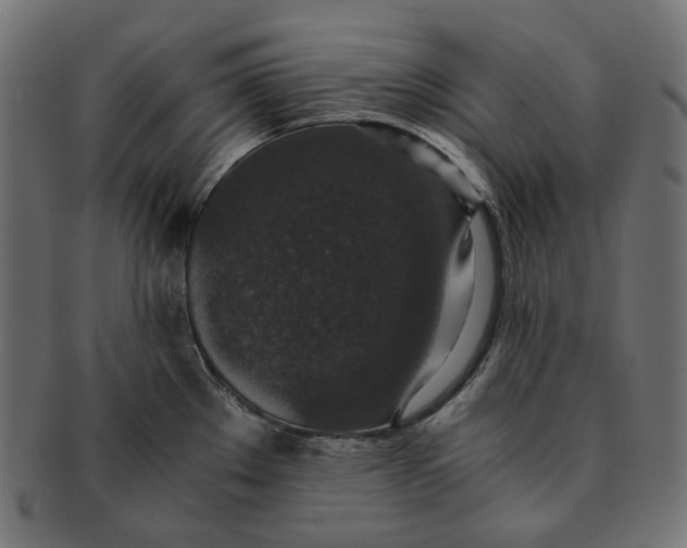 X0000091521289200709071008