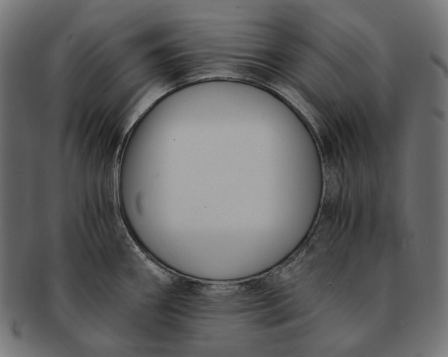 X0000091521290200709071008