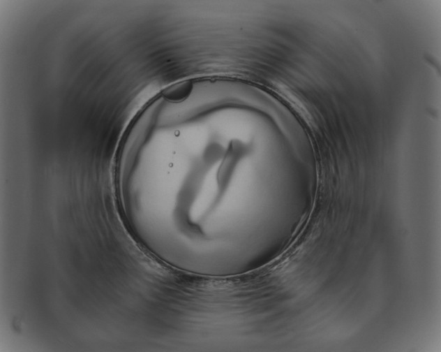 X0000091521291200709071008