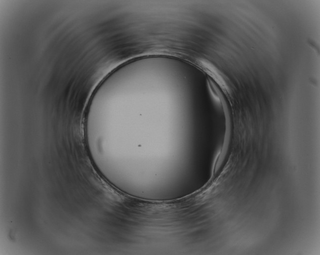 X0000091521292200709071008