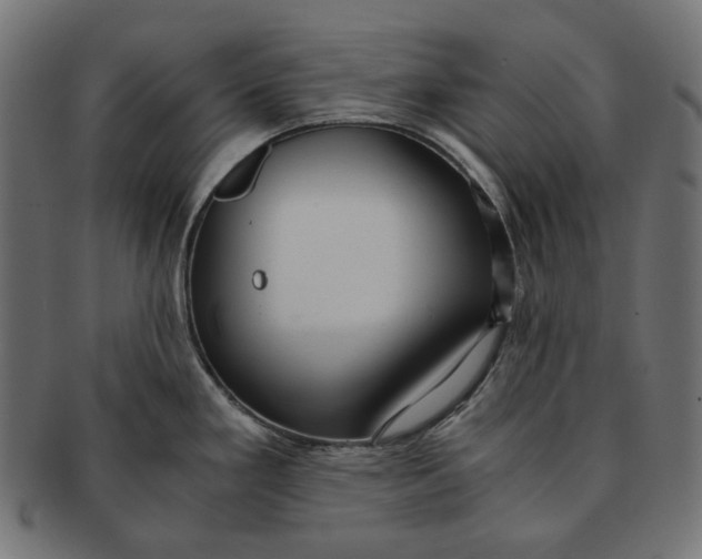 X0000091521293200709071008