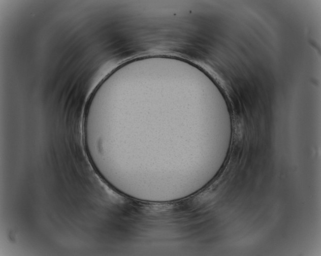 X0000091521294200709071008