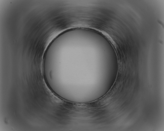 X0000091521295200709071008