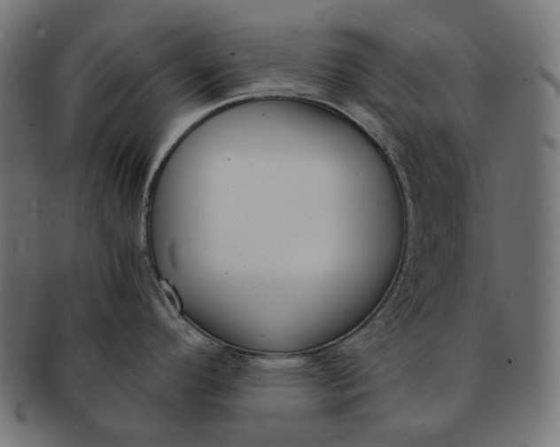 X0000091521296200709071008