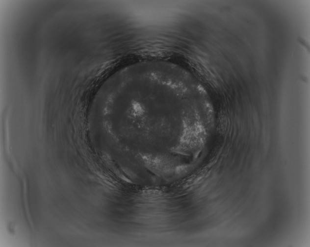 X0000091521297200709071007