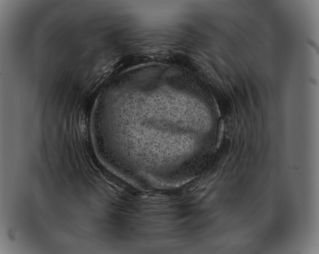 X0000091521298200709071007