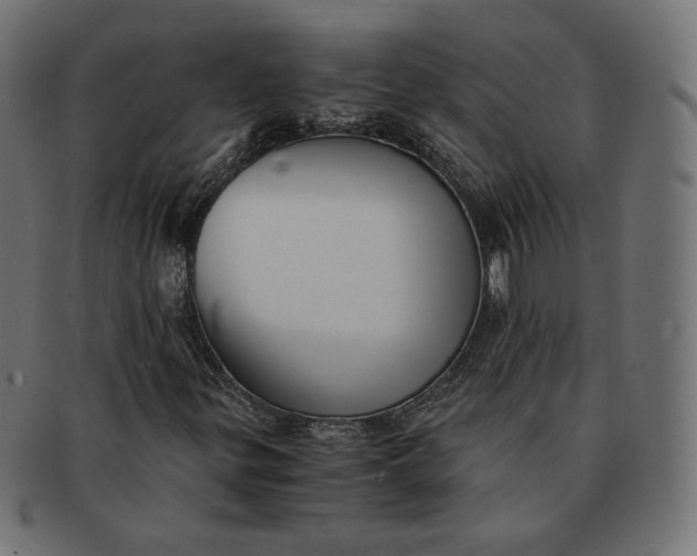 X0000091521299200709071007