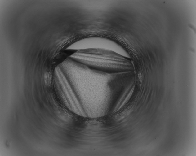 X0000091521300200709071007