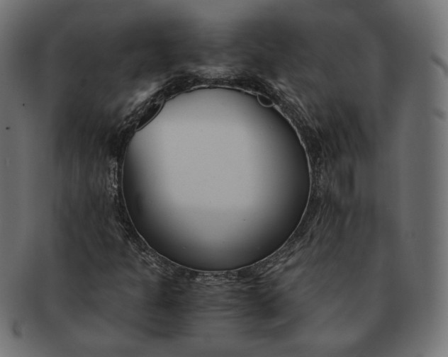 X0000091521301200709071007