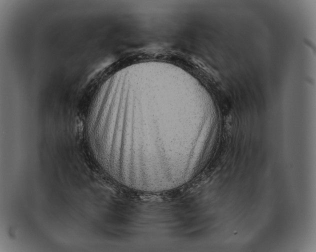 X0000091521302200709071007