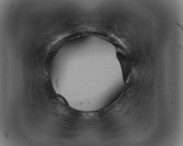 X0000091521303200709071007