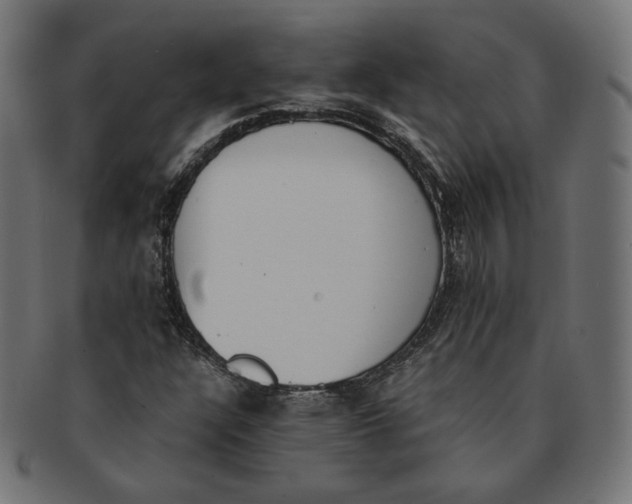 X0000091521304200709071007