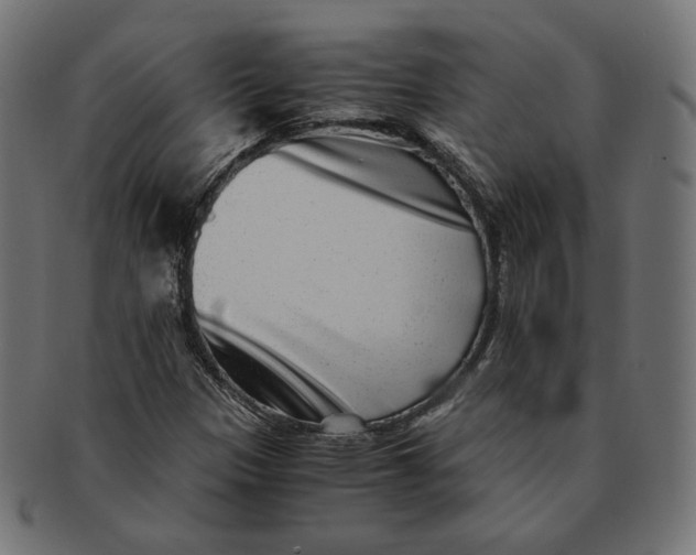 X0000091521305200709071007