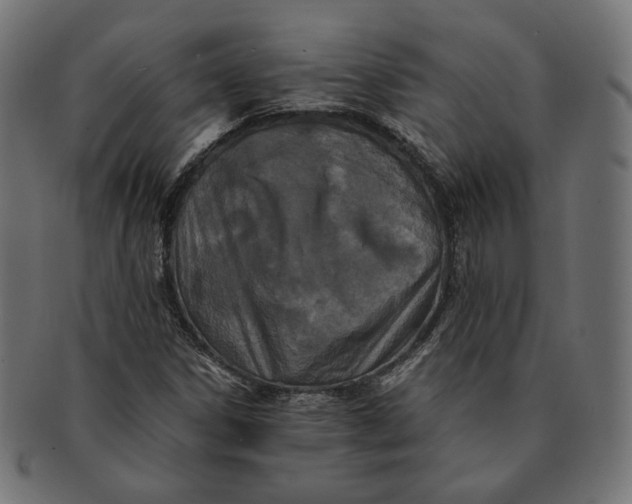 X0000091521306200709071007